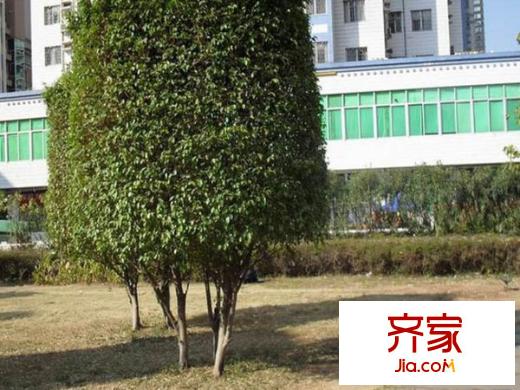 远东大厦外景图