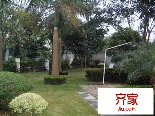 新市紫荆花园外景图