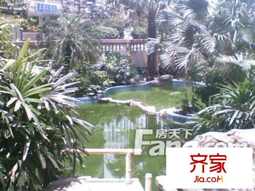 福金莲花园外景图