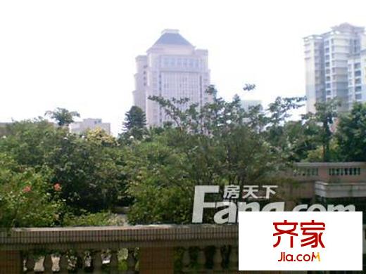 福金莲花园外景图