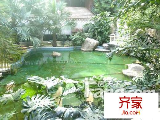 福金莲花园外景图