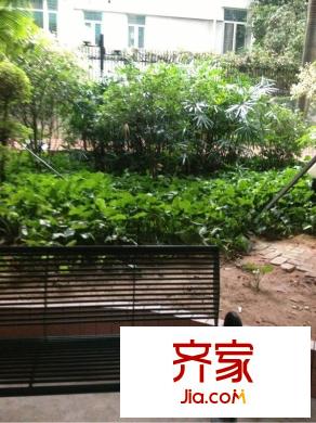 御华苑外景图