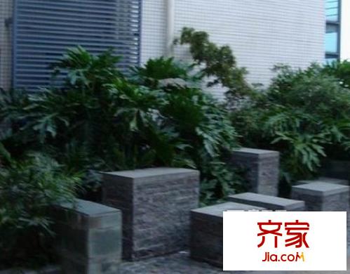 双子星城外景图