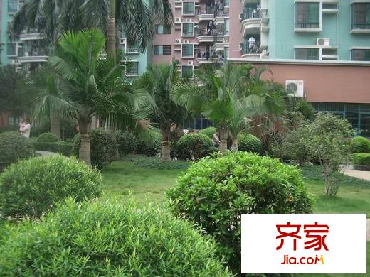 天河南兴花园外景图