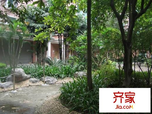 天河南兴花园外景图