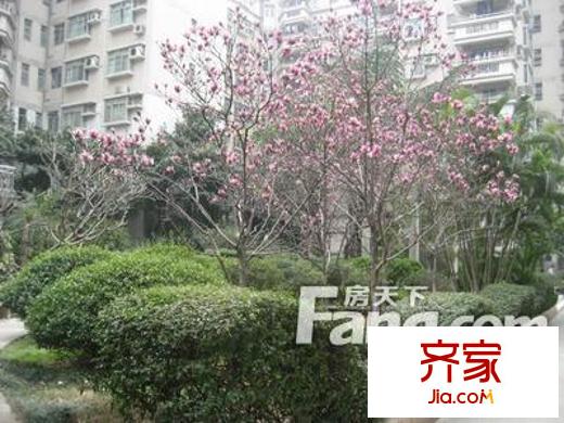 东晖花园外景图