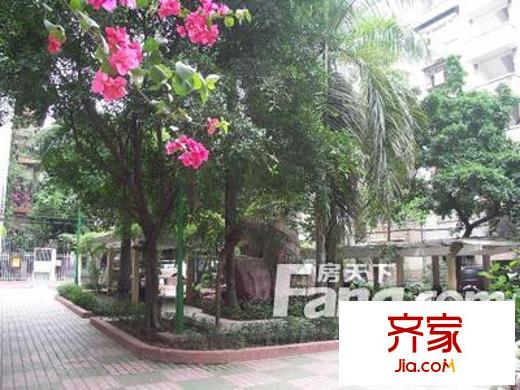 越秀东园新村外景图