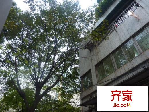 大德路小区外景图