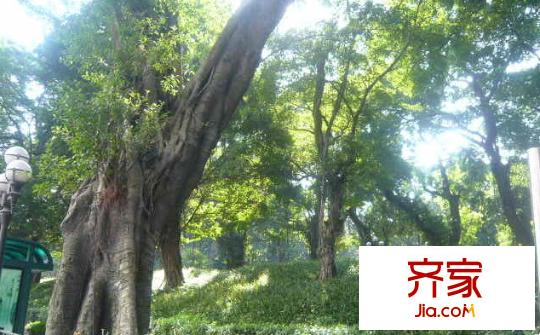 越华路小区外景图