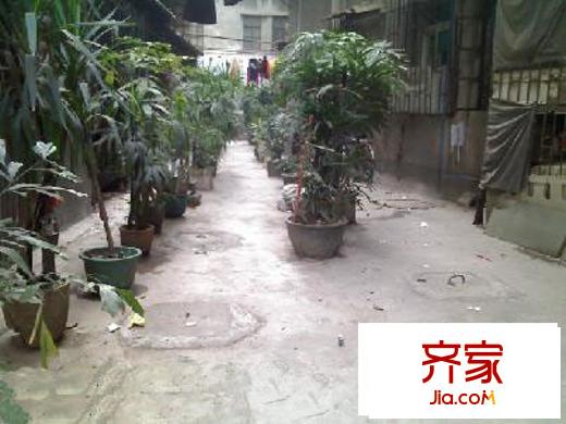 惠福西路大院外景图