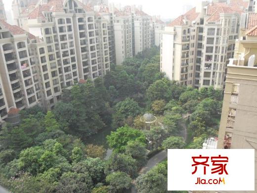 翡翠绿洲森林半岛外景图