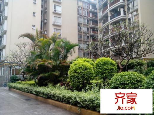 柏涛雅苑外景图