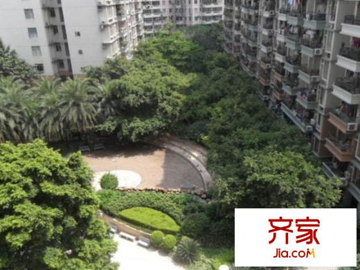 珠江南景园外景图