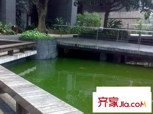 伊顿18配套图中心花园