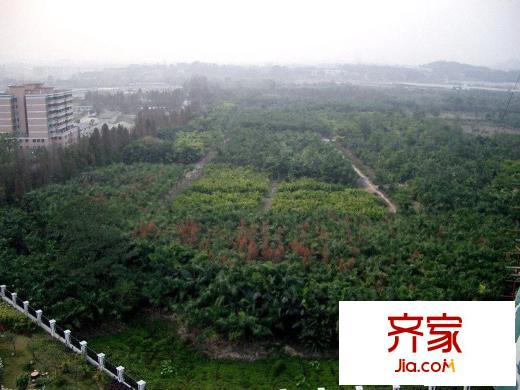 华南御景园(2010年5月)