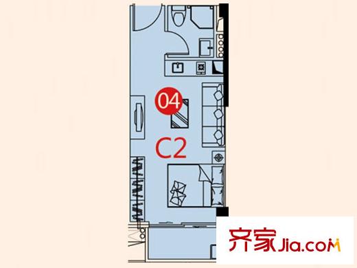 大壮国际广场G1/G2栋04户型 1室1厅1卫1厨
