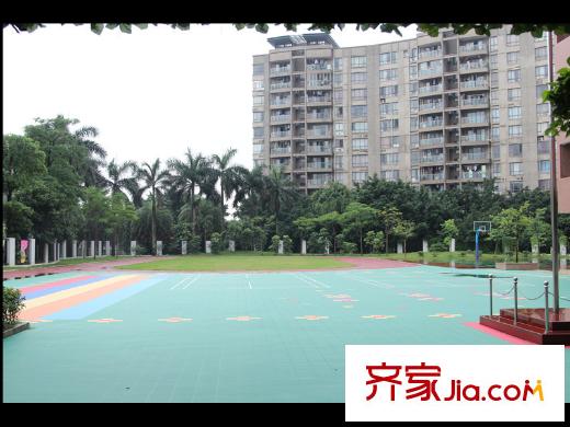 江山国际小学操场约100米