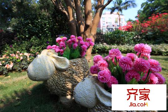 九洲海誉居园林(2015-03-20)