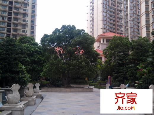 金泽豪庭楼栋及园林2013-01