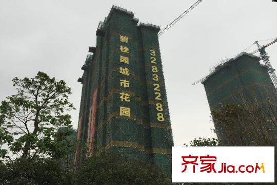 中国铁建国际花园项目往东500米的碧桂园城市花园