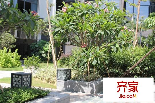 汇东国际花园(2015-03)