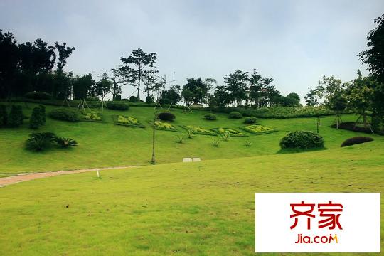 碧桂园豪园(2015.10.20)