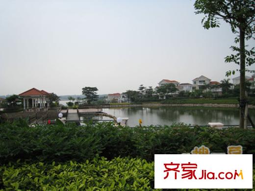碧桂园假日半岛配套图周边