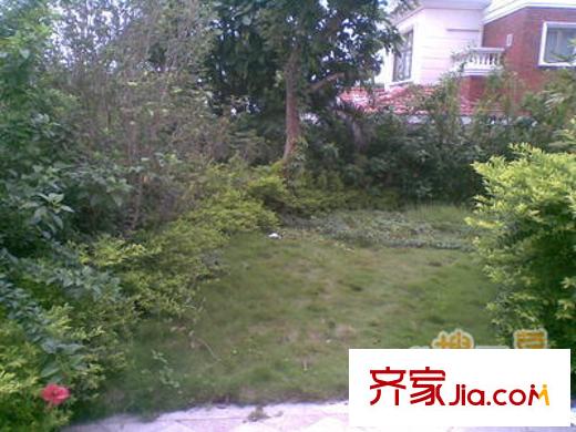 碧桂园假日半岛配套图周边