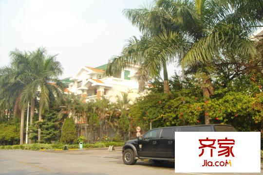 碧桂园凤凰城(2015.3.4)
