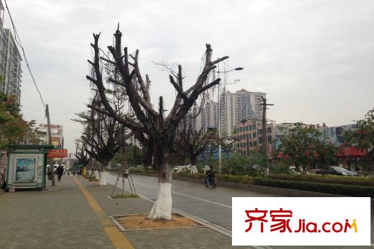 水电广场项目左侧对开的道路景观