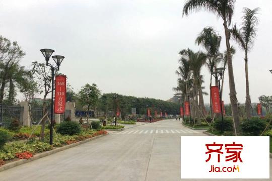 流溪半岛小区园林(2015.3.30)