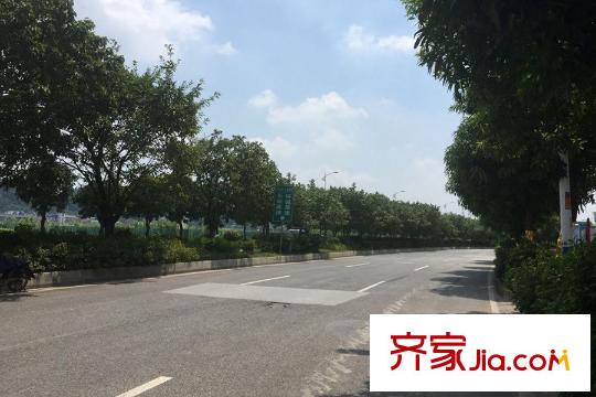 臻尚苑距离约100米的门口马路