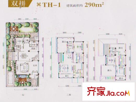 迪亚春天双拼TH-1 6室2厅4卫1厨