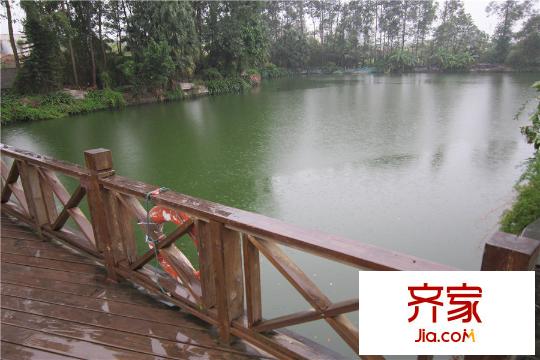 东湖映月小区湖景(2014-12-5)