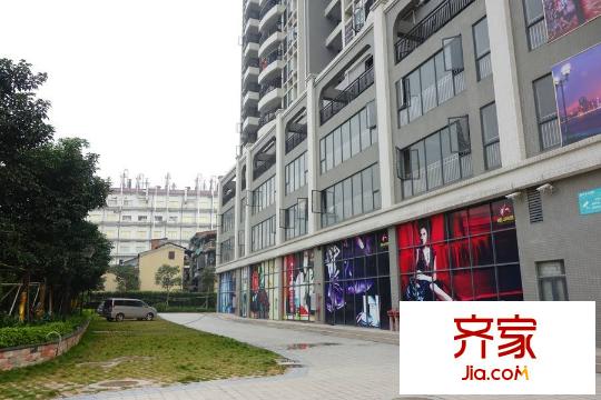 银山尚橙(2015-03-25)