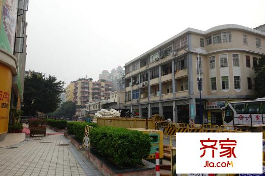 银山尚橙(2015-03-25)