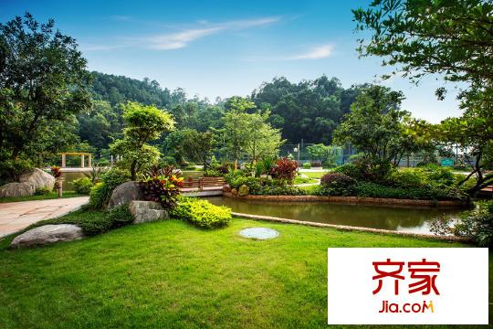 莲花山碧桂园小区园林实景