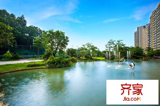 莲花山碧桂园小区园林实景