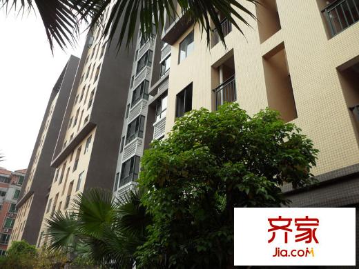 海珠湖景峰(2013.1.23)