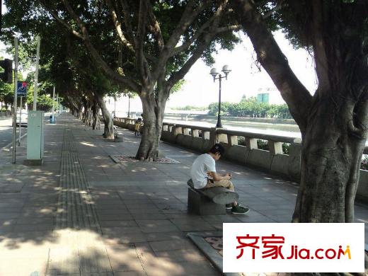 东山月府距离项目100米的江月路江边