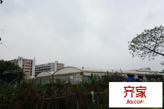 新城市江南项目(2015-03)