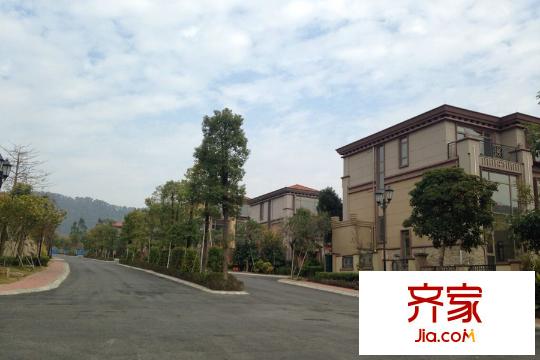 和记黄埔逸翠庄园(2015-03)