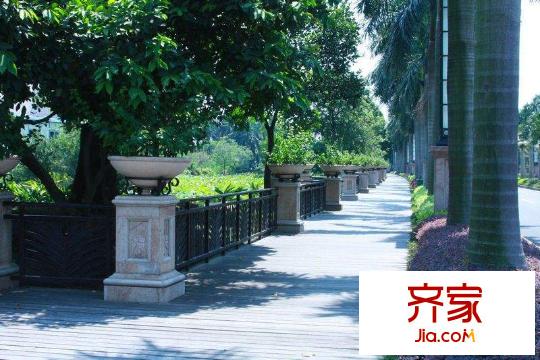 星河湾半岛项目外围马路边(2012-08-01)