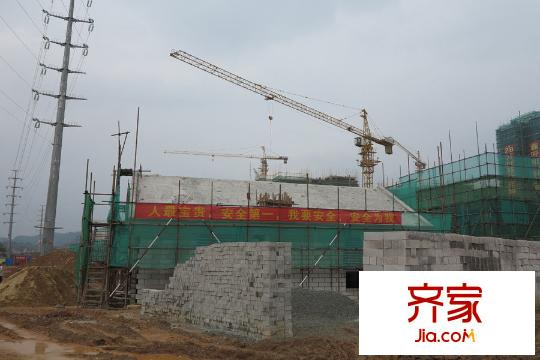 森林中央(2015-06)
