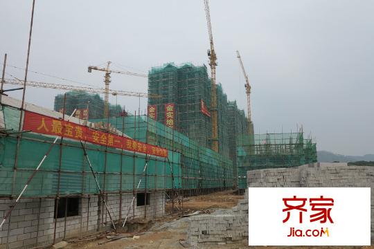 森林中央(2015-06)