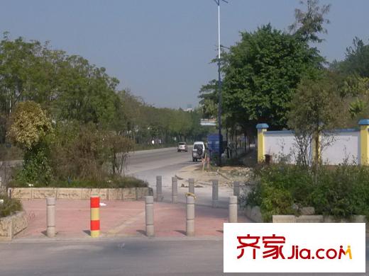 珠江岭南苑项目外面的道路