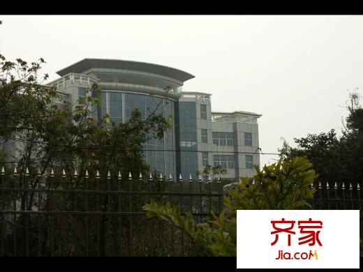 金龙居小区内部景观(2014-2)