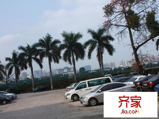 海珠半岛花园三期A栋地块(2013-03-11)