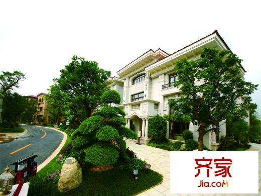 碧桂園?輕軌悅城別墅（2014-03-20）
