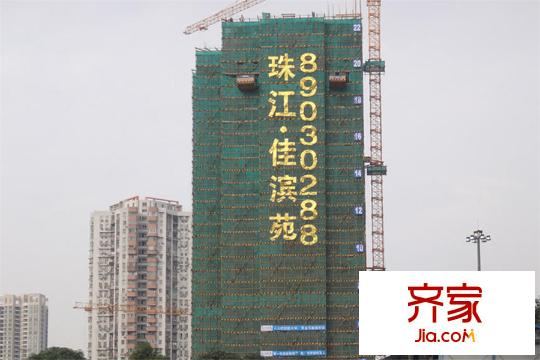 佳滨苑(2015.3.24)